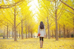 yellow-tree-with-girl
