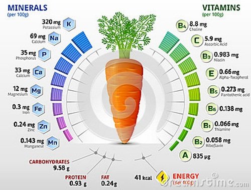 Морковь – химический состав
