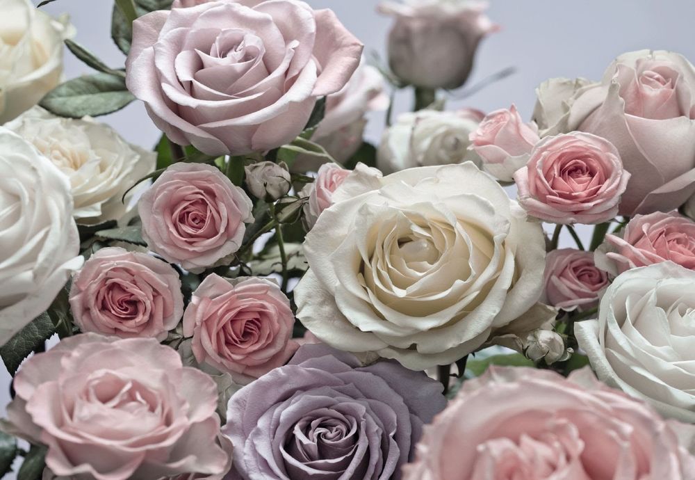 Модные оттенки цвета пыльной розы в оформлении домашнего интерьера, фото № 50
