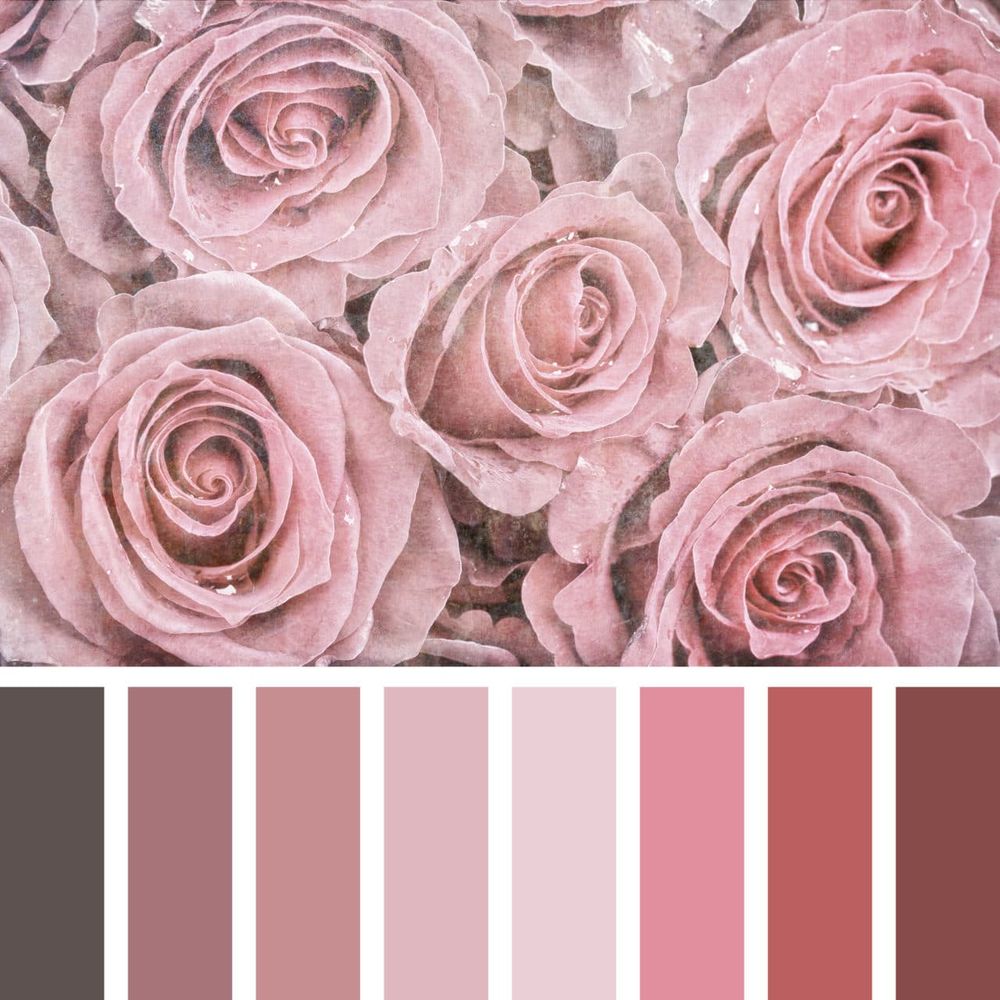 Модные оттенки цвета пыльной розы в оформлении домашнего интерьера, фото № 1