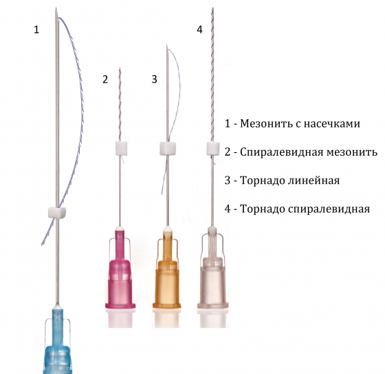 Какие бывают мезонити?