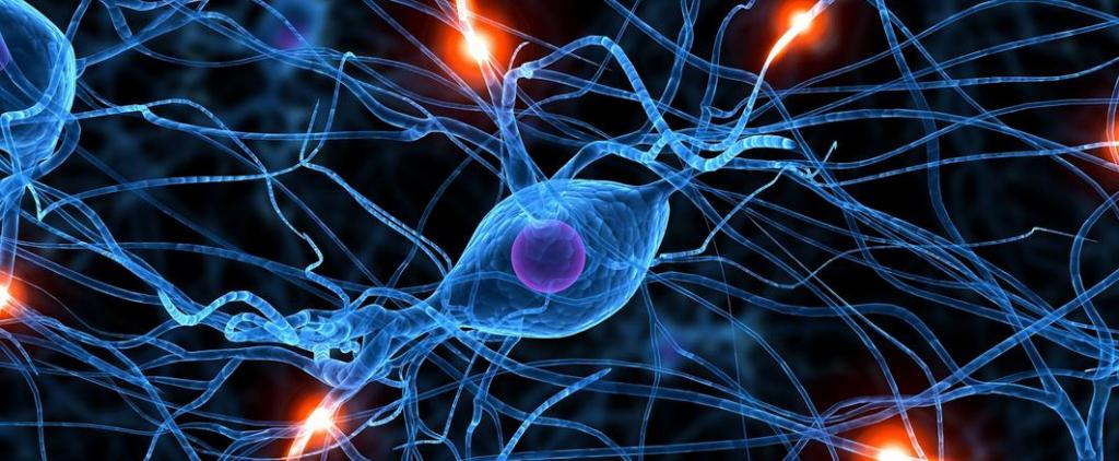 нейроны и импульсы между ними