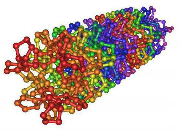какие белки относятся к фибриллярным