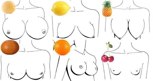 виды и формы женской груди