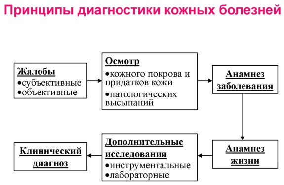 Пятна на коже красного цвета не чешутся, с шелушением и без. Фото на ногах, руках, теле. Что это и как лечить