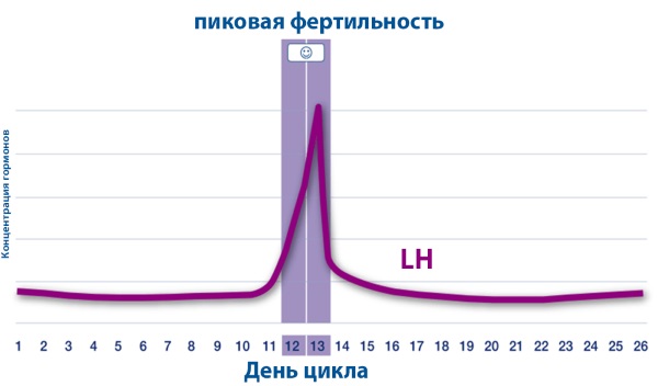 Менструальный цикл: что это, фазы, нарушения, как рассчитать начало, норма, сбой, как восстановить