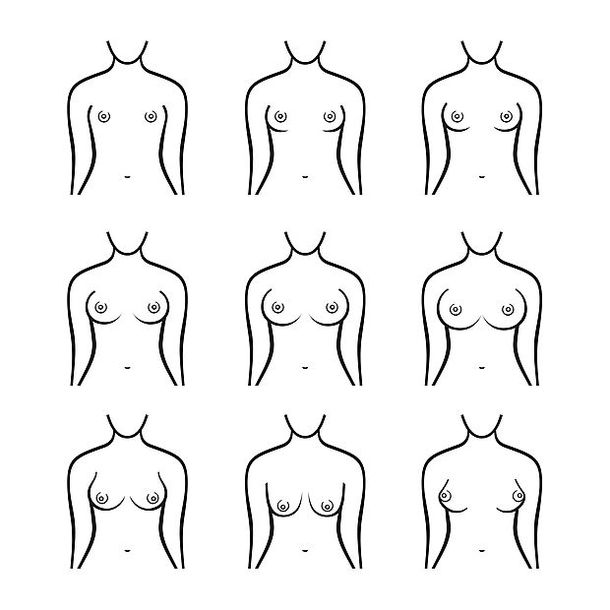 Различные формы женской груди