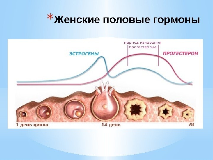 болит грудь в середине цикла