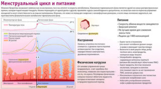 Менструальный цикл и питание