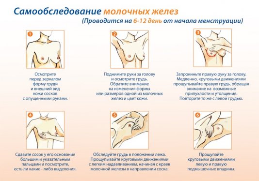 Профилактика рака молочной железы