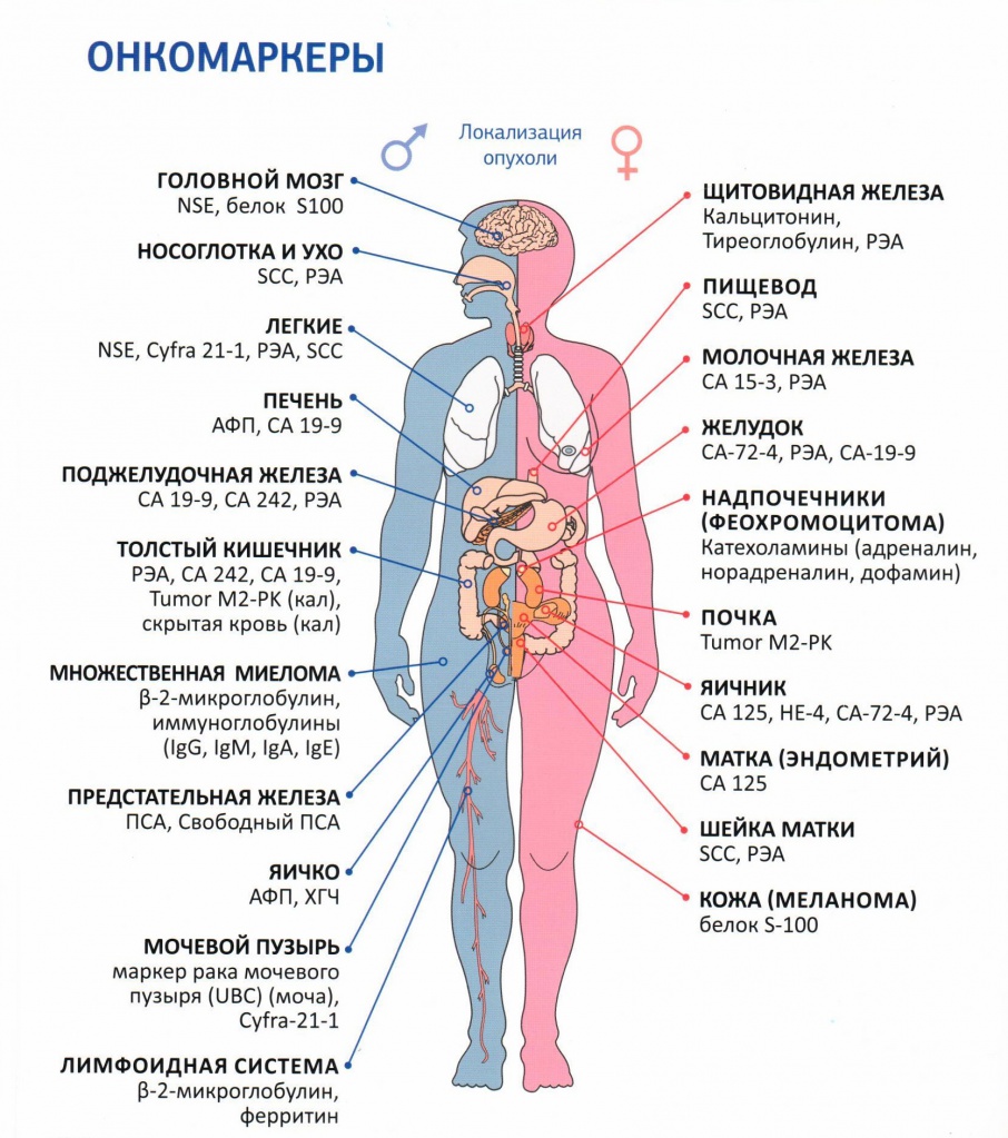 Онкомаркеры
