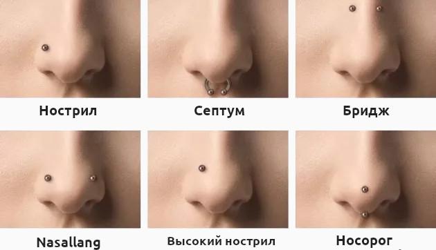 Схема разных видов пирсинга на носу