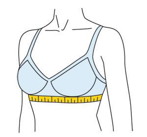 Как узнать размер груди