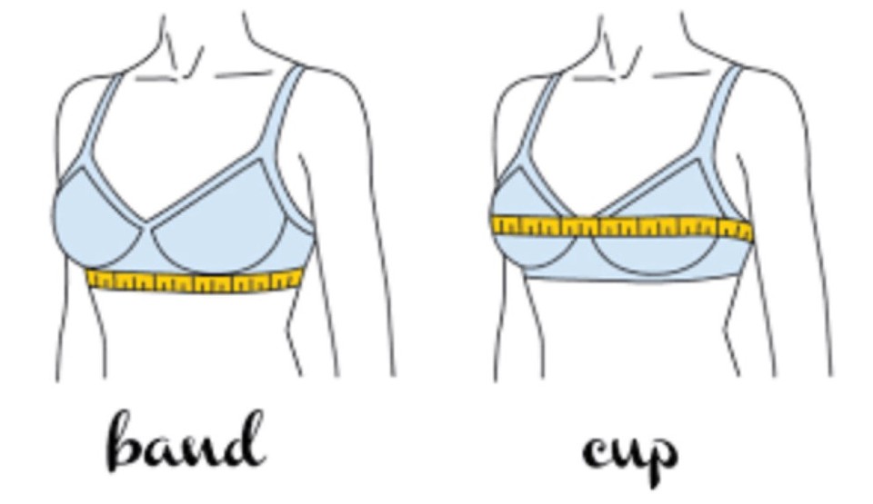 Чтобы определить размер бюстгальтера, нужно измерить обхват груди (по выступающим поверхностям) и обхват под выступающии поверхностями.. 