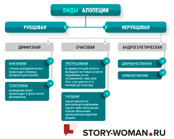 Виды алопеции