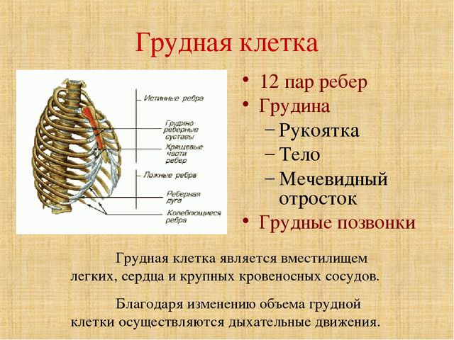 Расположение отделов 