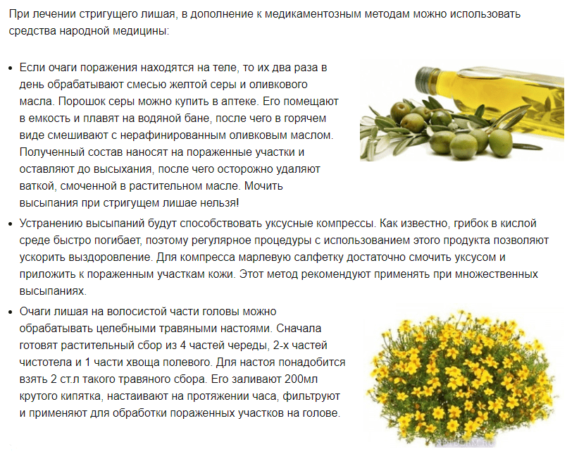 mikrosporiya-i-trihofitiya-gladkoy-kozhi