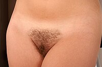 Female pubis with hair.jpg