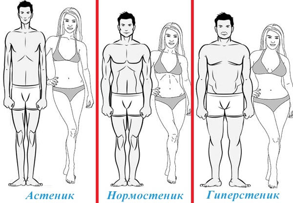 Типы телосложения: астеническое, нормостеническое, гиперстеническое
