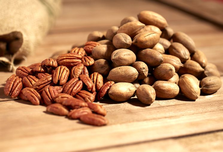Орехи пекан - природный антиоксидант